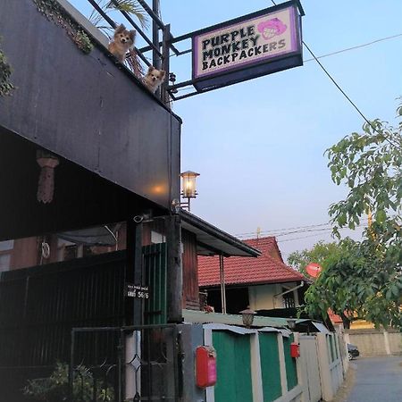 Albergue Purple Monkey Backpackers Chiang Mai Exterior foto