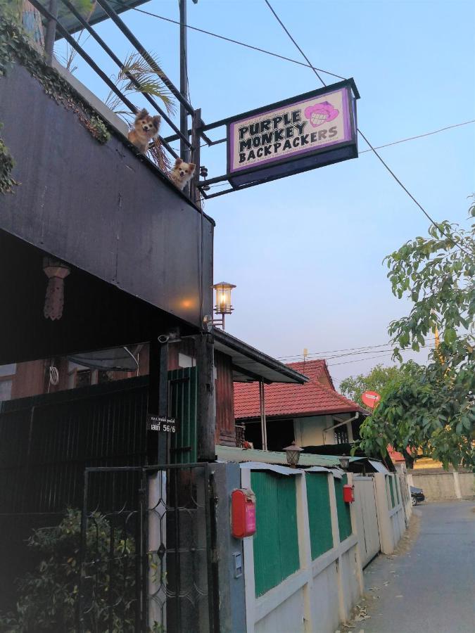 Albergue Purple Monkey Backpackers Chiang Mai Exterior foto