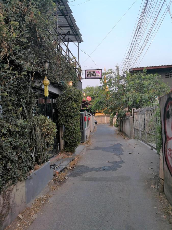 Albergue Purple Monkey Backpackers Chiang Mai Exterior foto